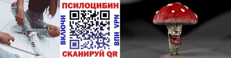 Псилоцибиновые грибы GOLDEN TEACHER  Касли 