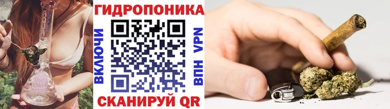 Шишки марихуана план  купить   KRAKEN рабочий сайт  Касли 